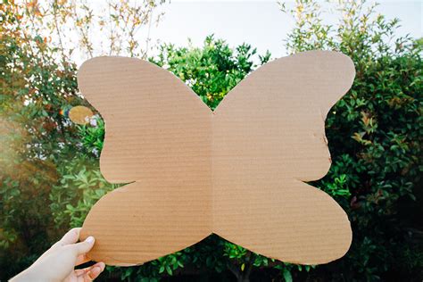 diy butterfly wings cardboard